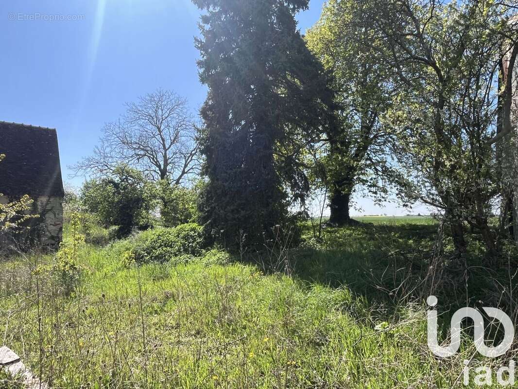 Photo 3 - Terrain à CHAMBOURG-SUR-INDRE