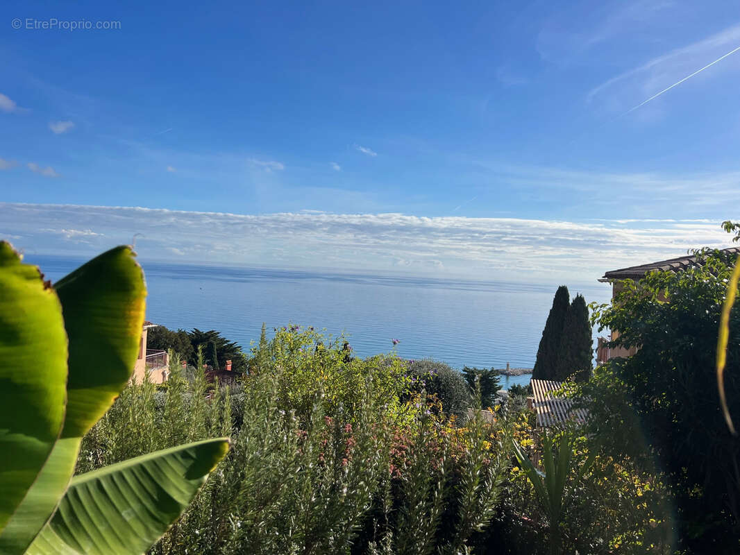 Maison à MENTON