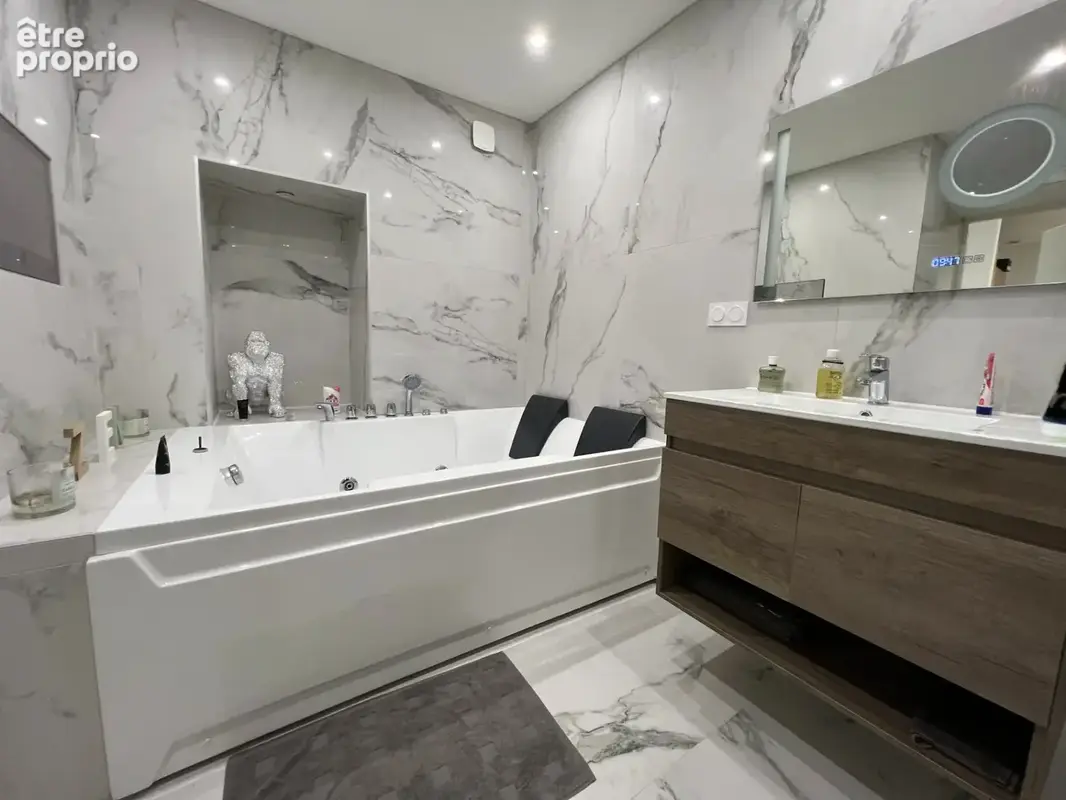 Gieres loft 152m2 + jardin + couloir de nage - photo 26