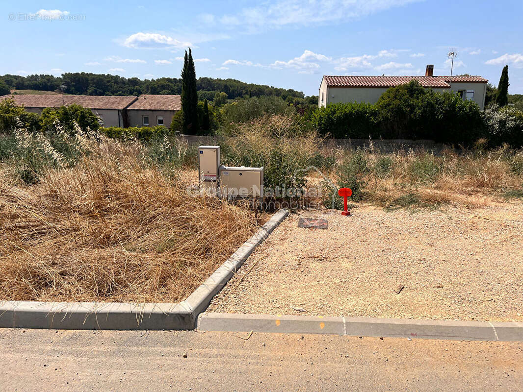 Terrain Mus 251 m2 - photo 2