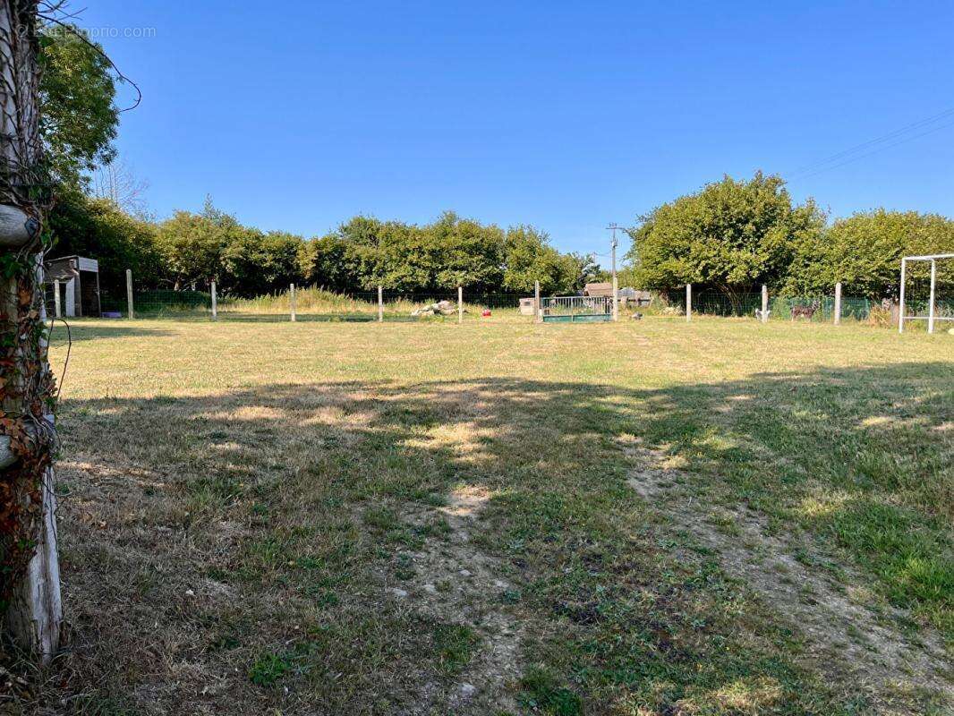 TREPREL superbe terrain de 2320 m2 - photo 2