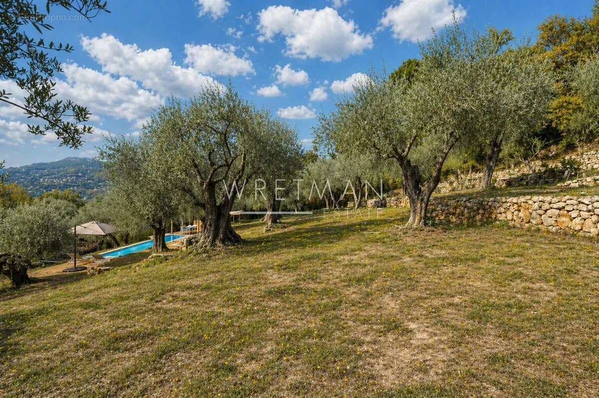 Charmante propriété au cœur d'une oliveraie - Tourrettes-sur-Loup - photo 3