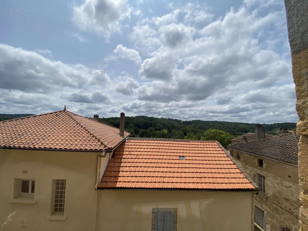 Maison de Maître en cœur de ville   Villefranche-du-Périgord - photo 5