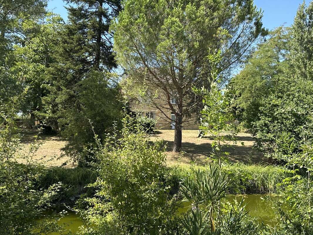 Maison girondine de caractère – 4 chambres sur un magnifique parc arboré, près de Saint-Émilion et Castillon-la-Bataille - photo 15