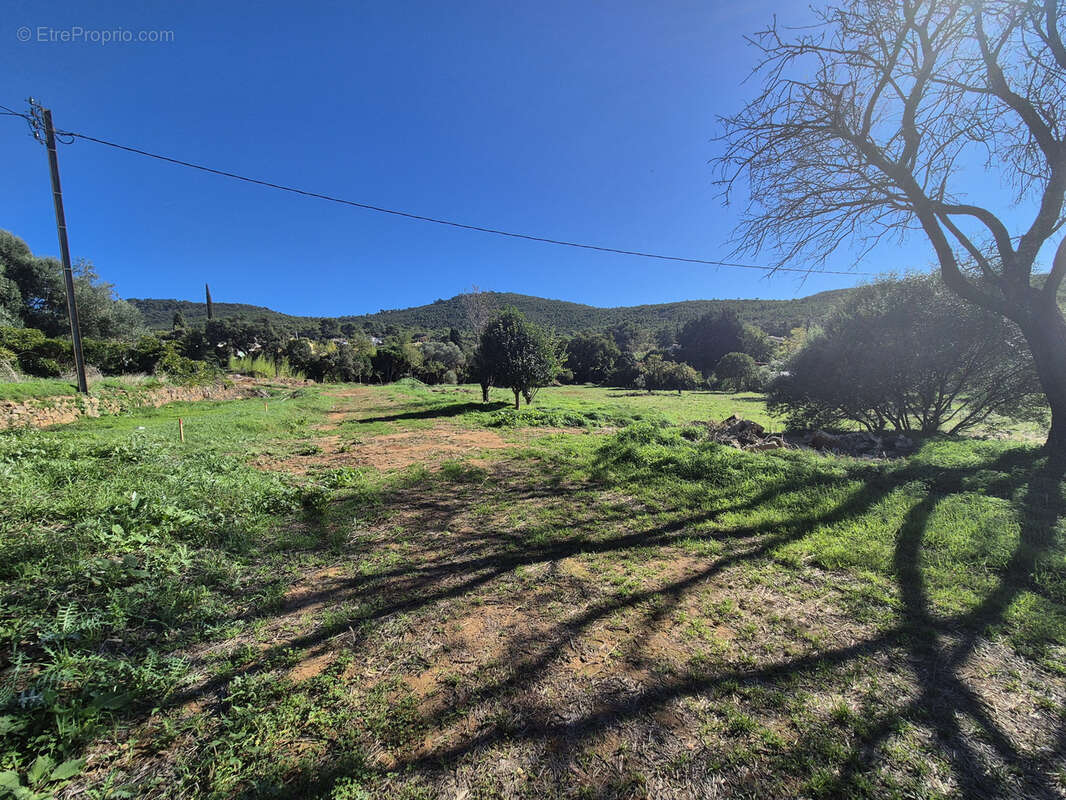 Terrain à LE PRADET