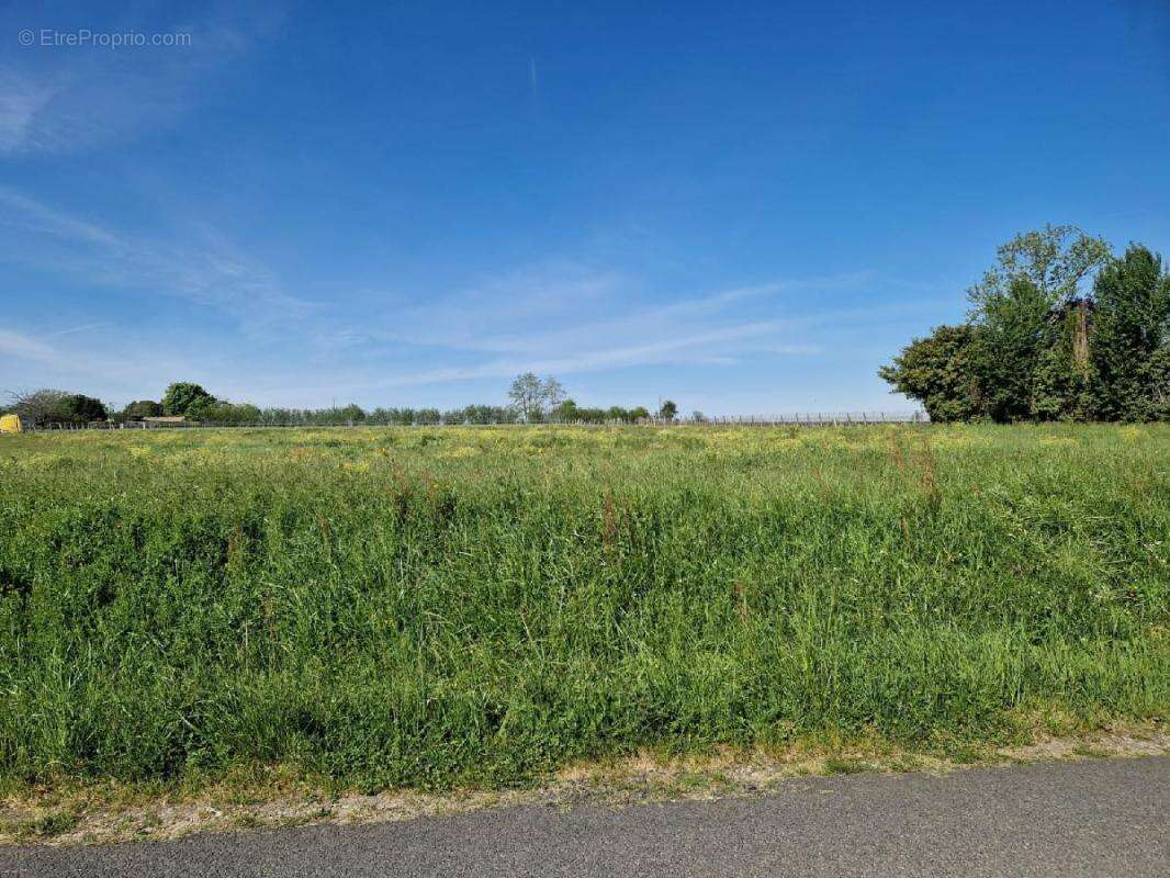 Terrain à SAINT-PIERRE-DE-MONS