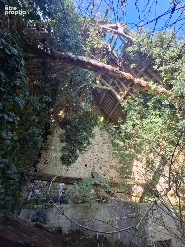 Terrain non constructible avec bâtisse en pierres en ruine, pour jardin ou espace de loisirs - photo 9
