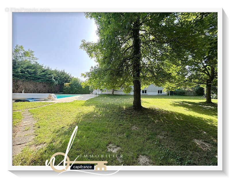 Terrain à MESSIMY-SUR-SAONE