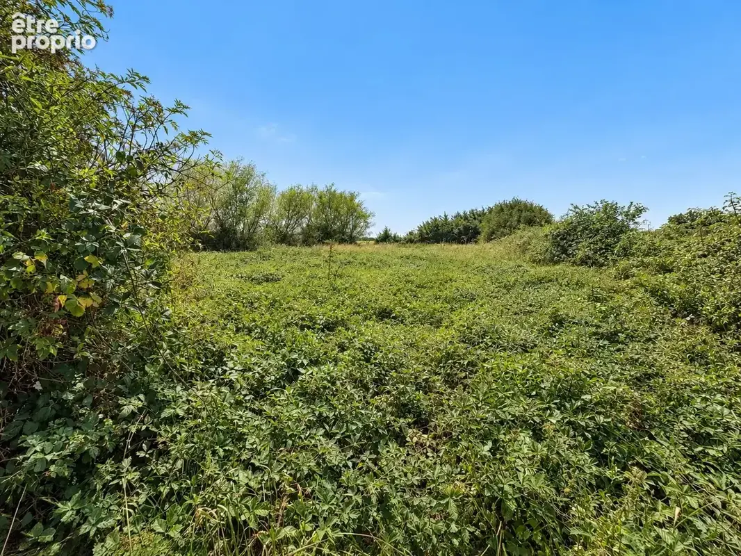 Grange sur terrain partiellement constructible Loriges - photo 9
