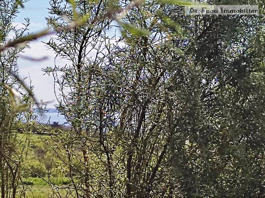 Terrain à TELGRUC-SUR-MER