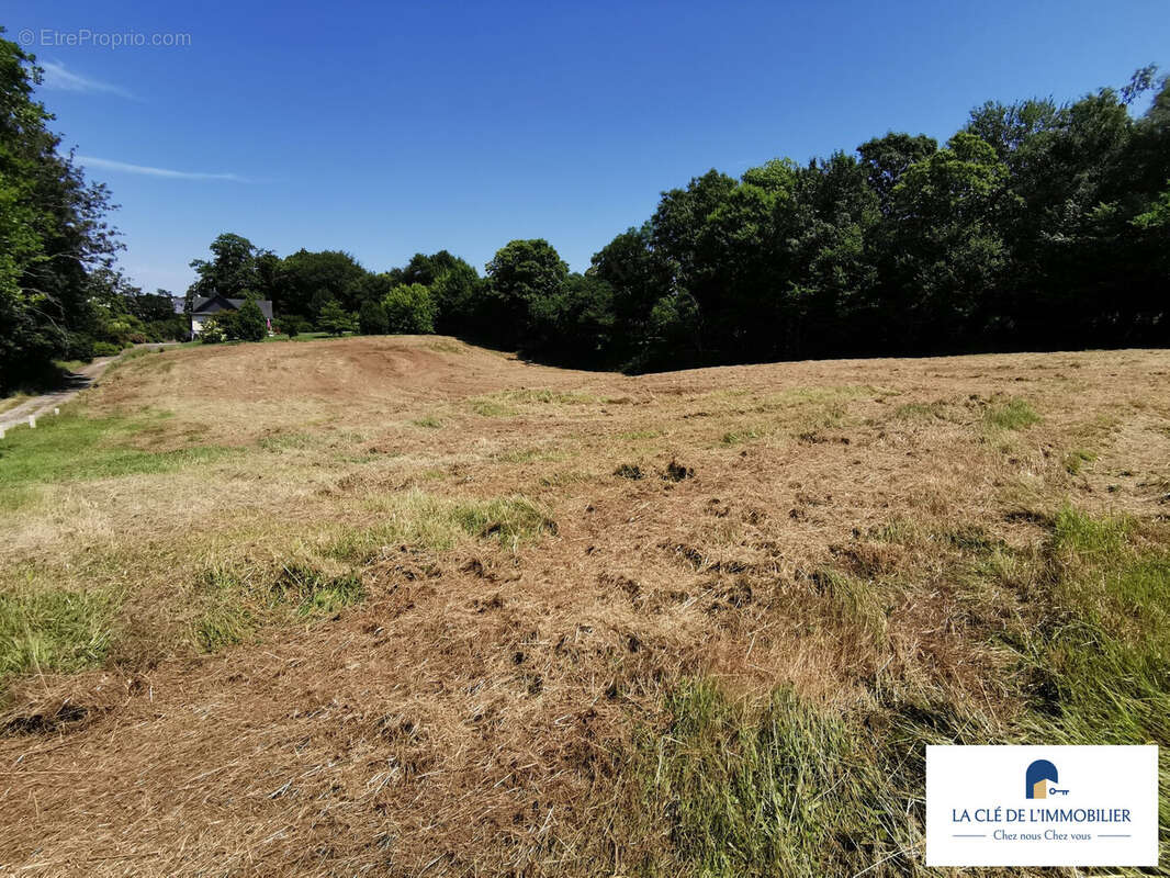 Terrain 938 m² à Coray  - photo 3