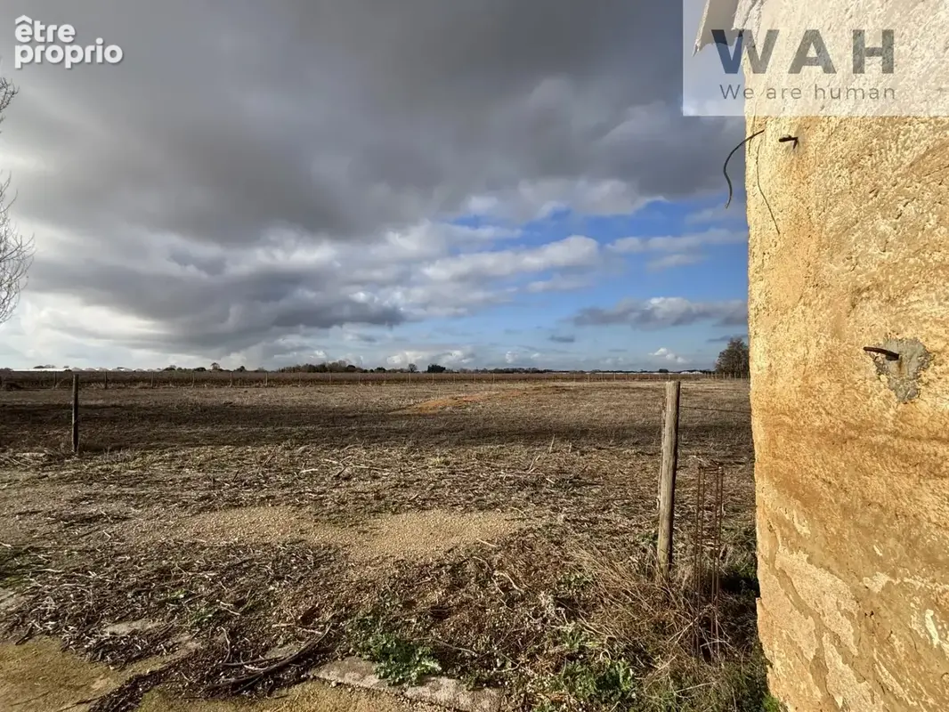 Ensemble immobilier en petite Camargue - villa plain-pied av - photo 16