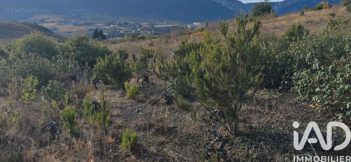 Photo 3 - Terrain à SAINT-PAUL-DE-FENOUILLET