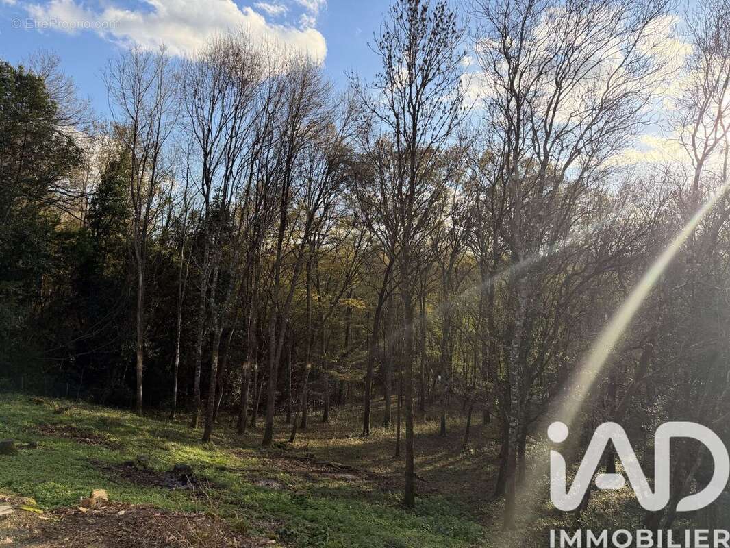 Photo 8 - Maison à ABZAC