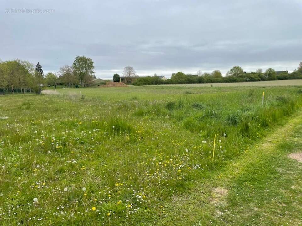 Terrain à COLTAINVILLE