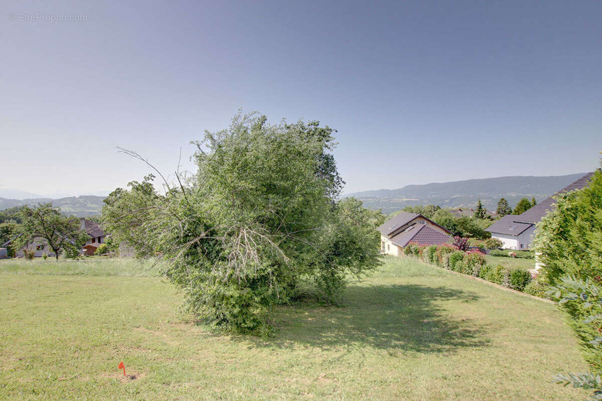 Terrain à SAINT-EUSEBE