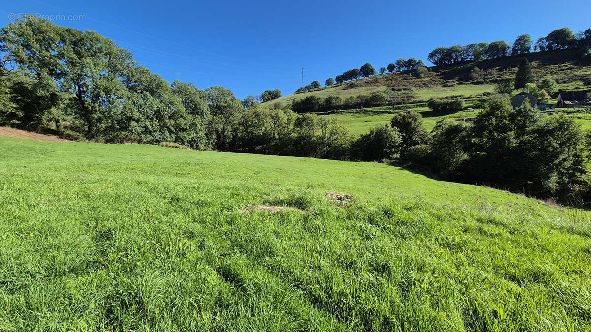 Maison à SAINT-CERNIN
