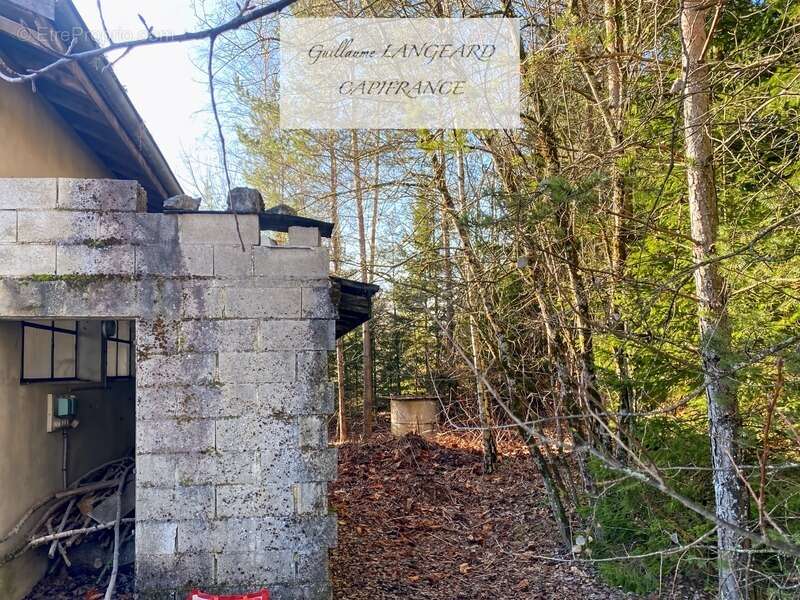 Commerce à MARTIGNAT