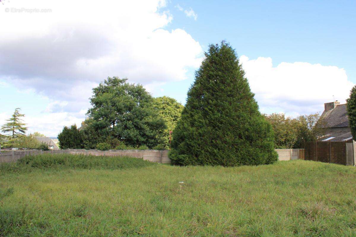 Terrain à SAINT-BARNABE