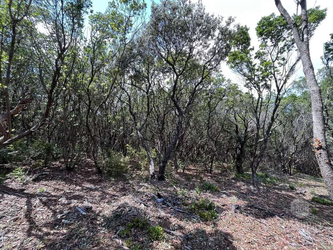 Terrain à SAINT-RAPHAEL