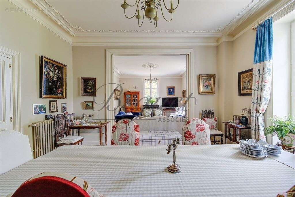 Côteaux-sur-Loire - Touraine - 37130 - 350 M² - 10 pièces - 7 chambres - piscine - parc 6 hectares - photo 5