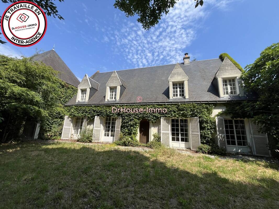 Maison 356 m² à La Chapelle-Sur-Loire  - photo 1
