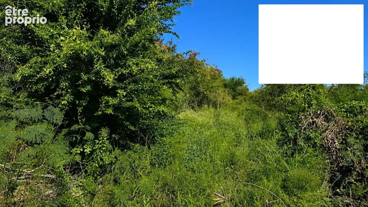 Terrain à L'ETANG-SALE