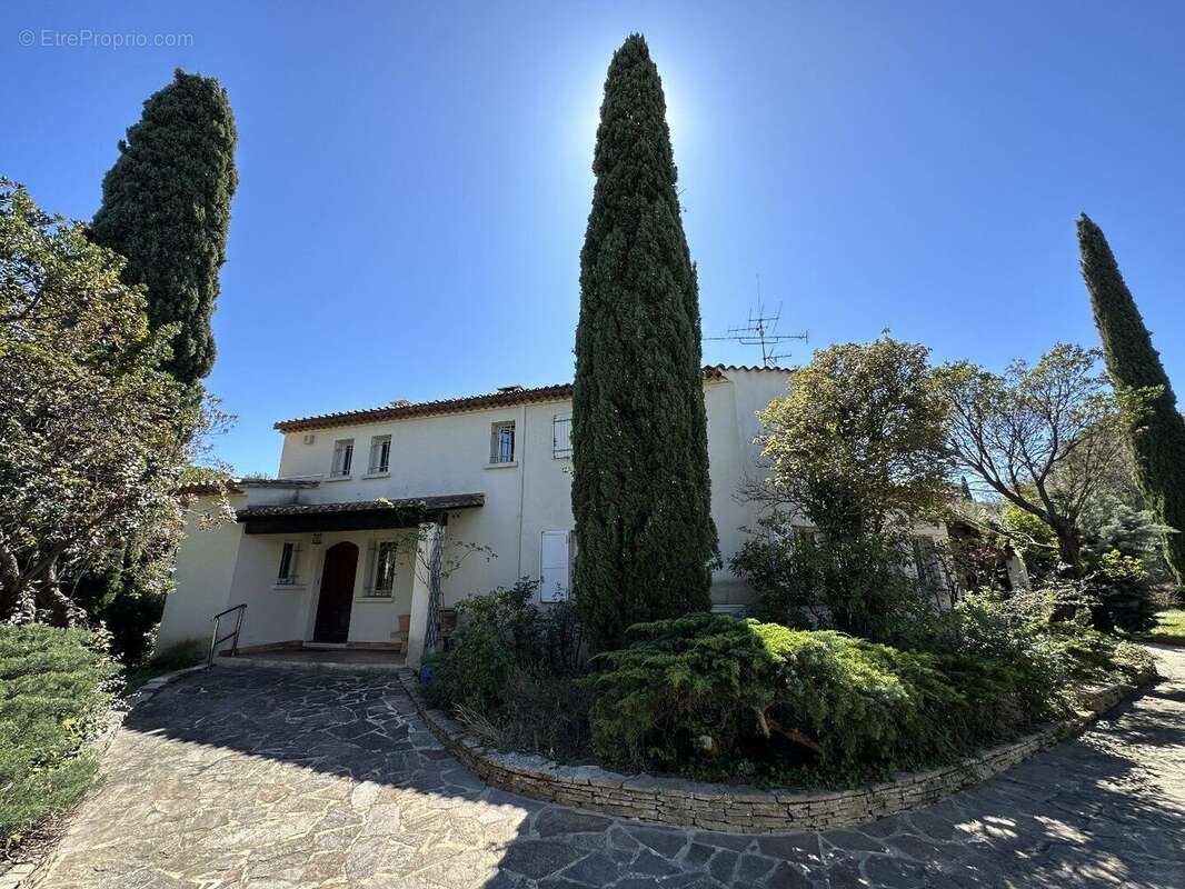 Photo 4 - Maison à MONTFERRIER-SUR-LEZ