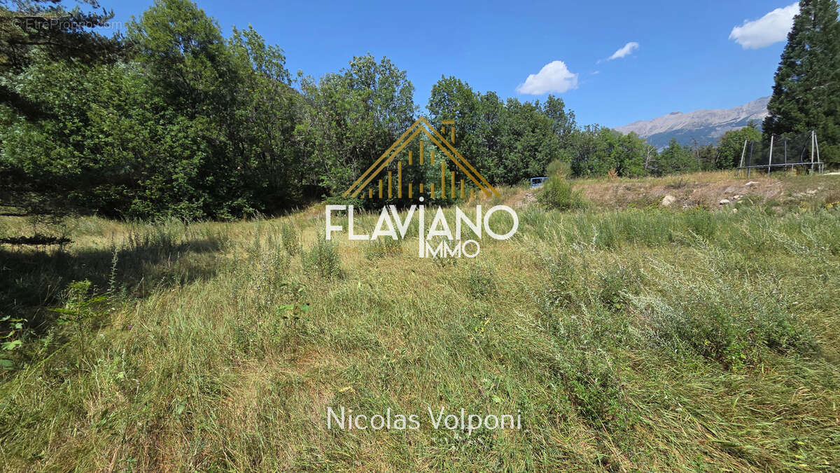 Terrain 1570 m2 - photo 5