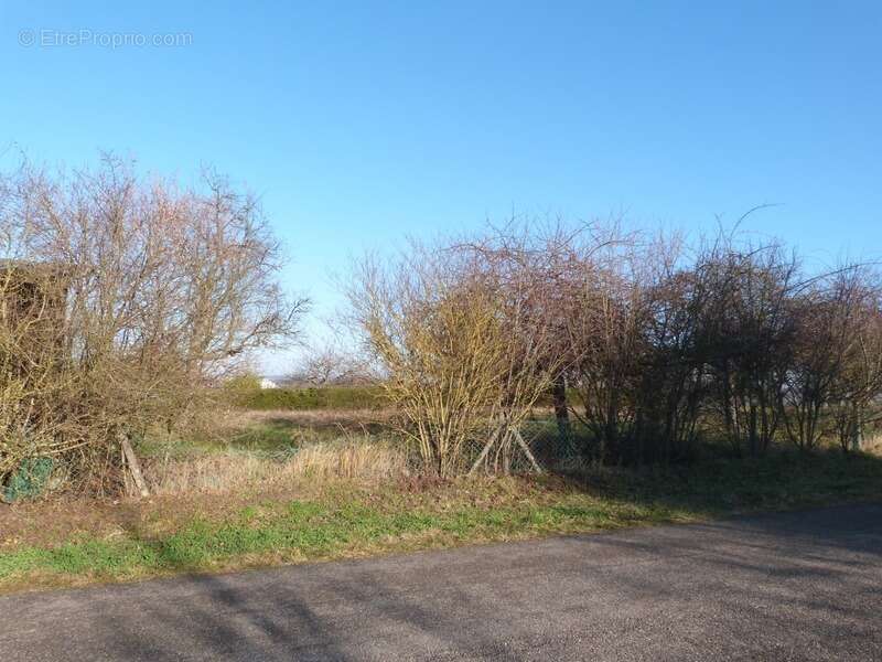 Dpt Moselle (57), à vendre proche de SARREGUEMINES terrain - Terrain de 851,00 m² - photo 4
