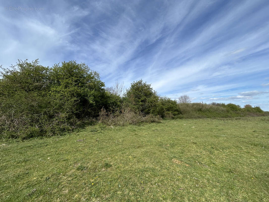 Terrain à CAYEUX-SUR-MER