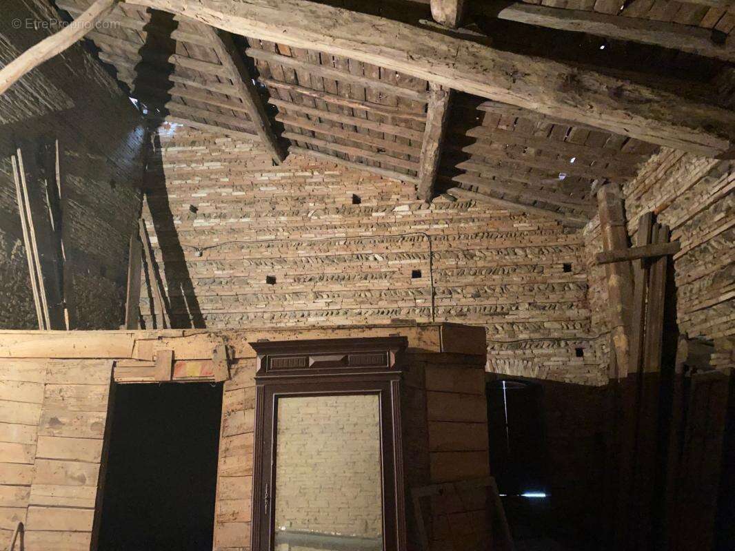 Spacieuse Toulousaine à rénover sur une parcelle de 465m² - photo 19