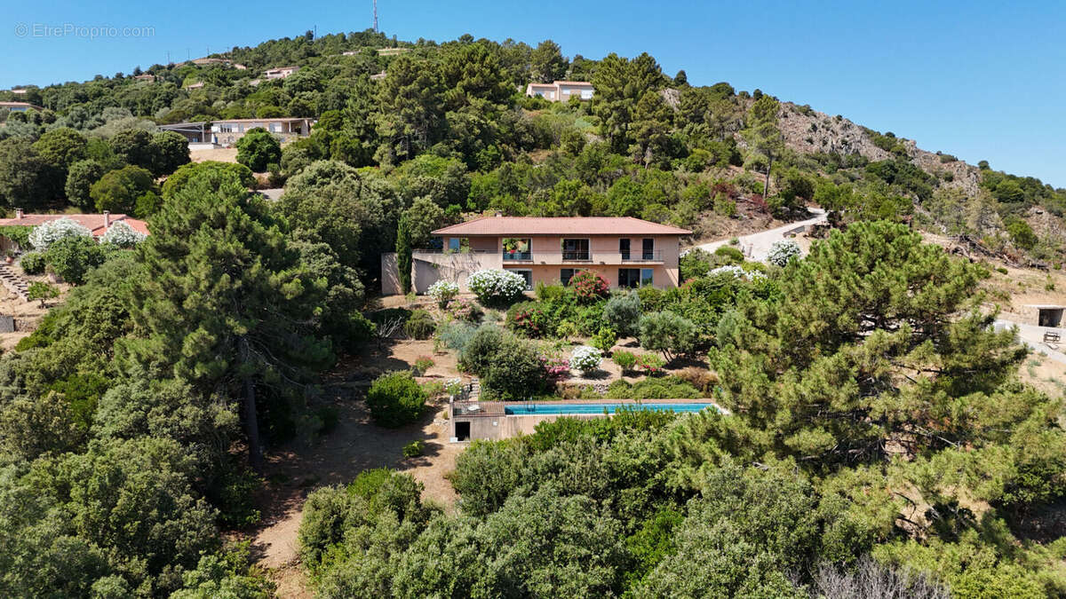 PIANA - Propriété de caractère - 195 m² - Vue exceptionnelle sur la mer - Piscine - photo 3