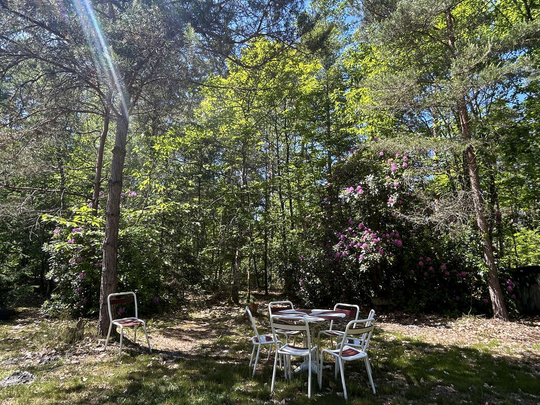 Propriété boisée, close, sans voisins proches : maison avec tourelle, garage - photo 3