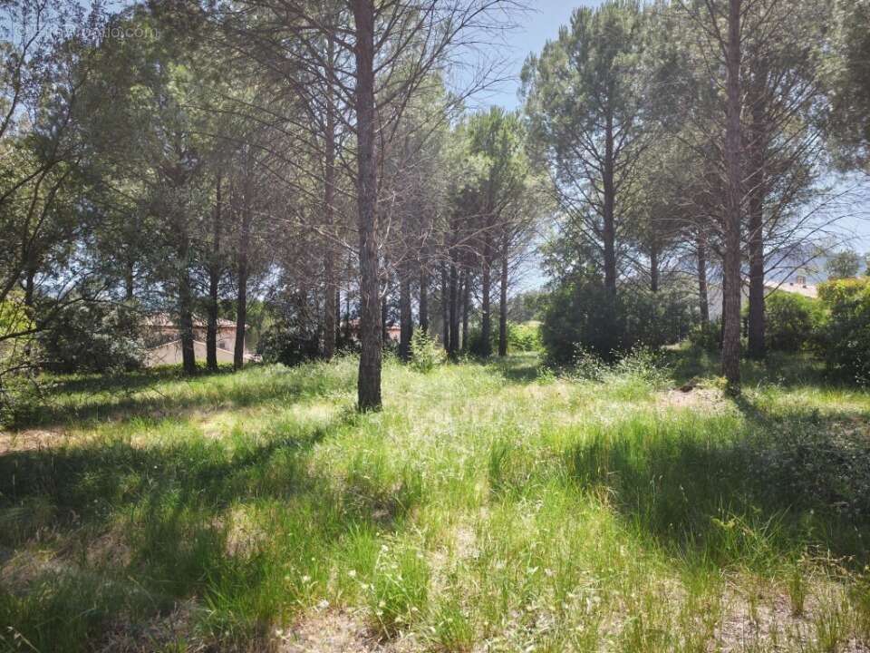 Terrain à ROQUEBRUNE-SUR-ARGENS