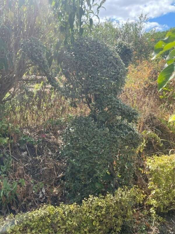 Maison à vendre 6 pièces CHILLEURS AUX BOIS (45) - photo 22