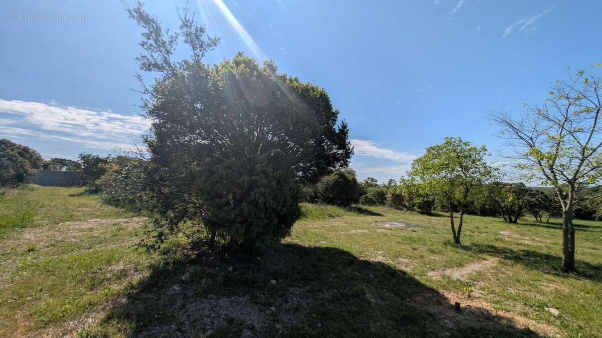 Terrain à CAZEVIEILLE