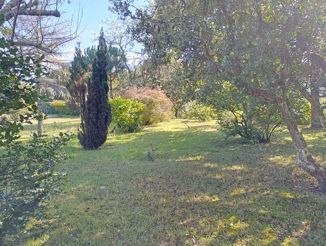 Terrain à VIELLE-SAINT-GIRONS