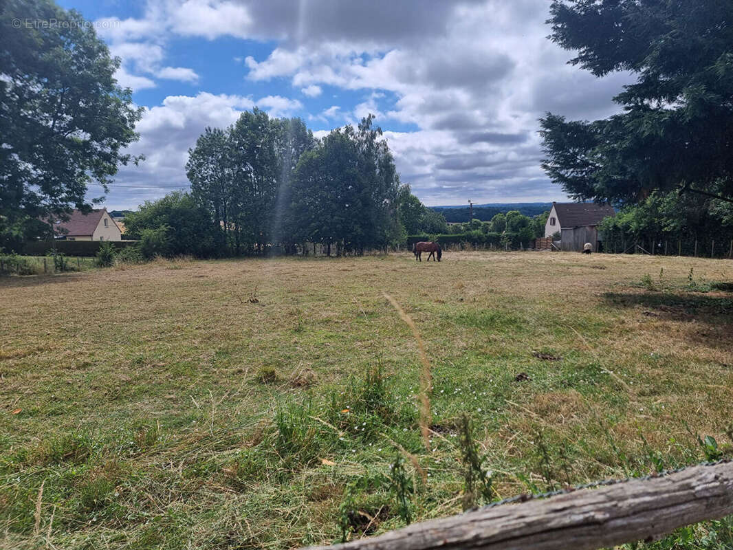 Terrain à SAINT-MARTIN-DU-VIEUX-BELLEME
