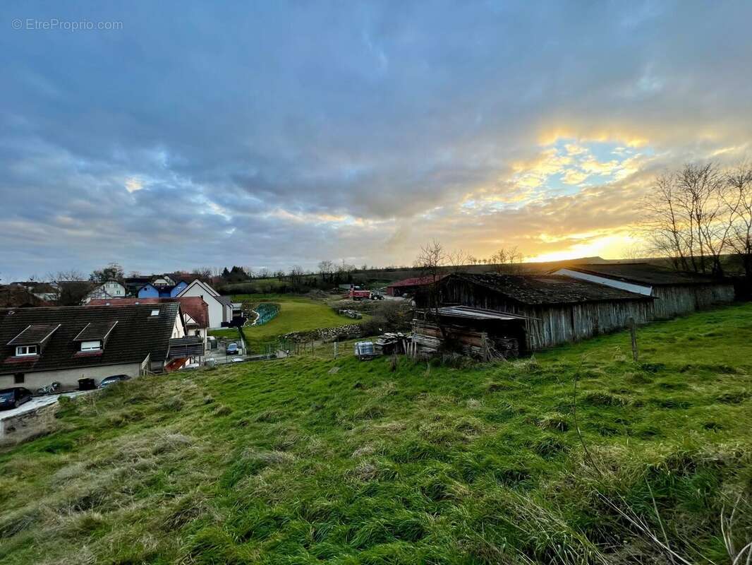 Terrain à WILLGOTTHEIM
