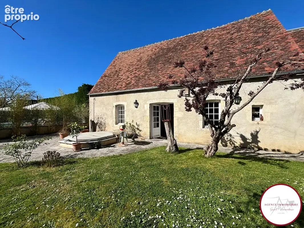 Aux Confins du 18, 03, 58,   Propriété centre ville avec dépendances, jardin et piscine - photo 13