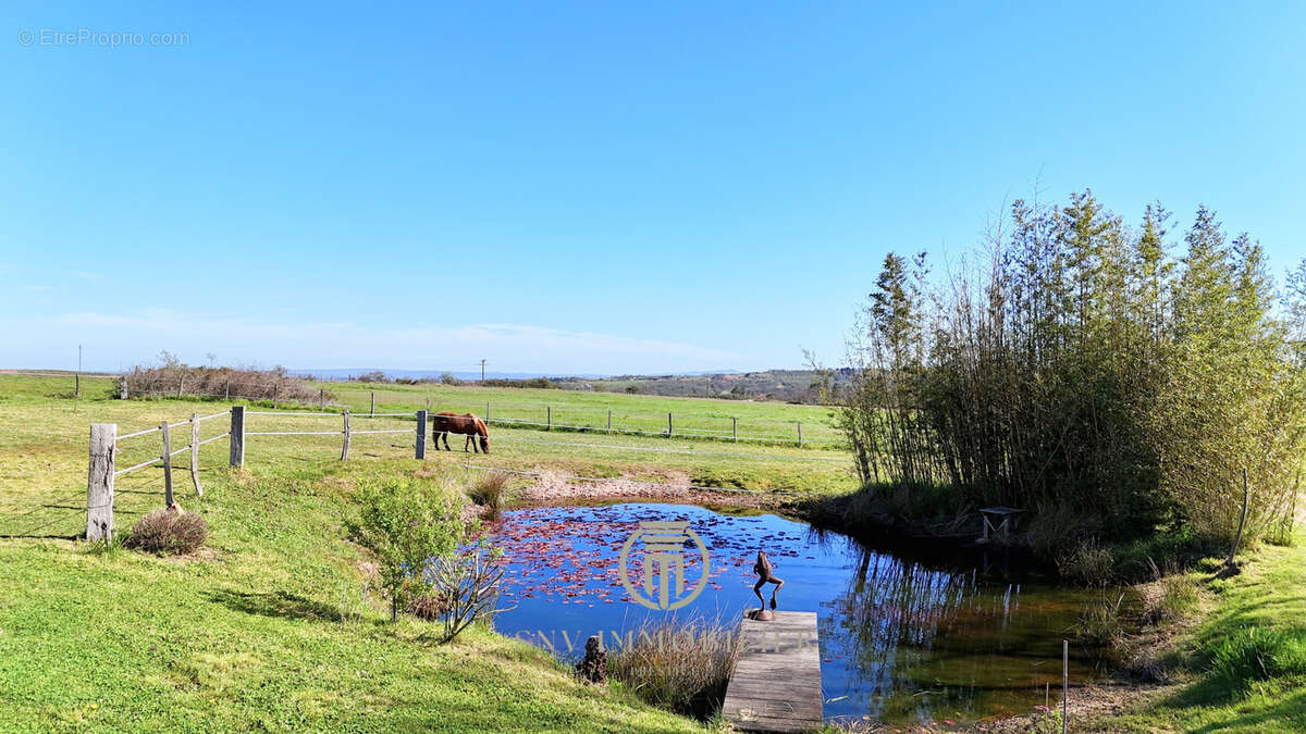 Maison à SAINT-JEAN-SAINT-MAURICE-SUR-LOIRE