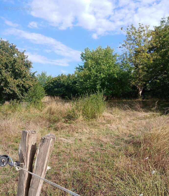 Terrain constructible - photo 7
