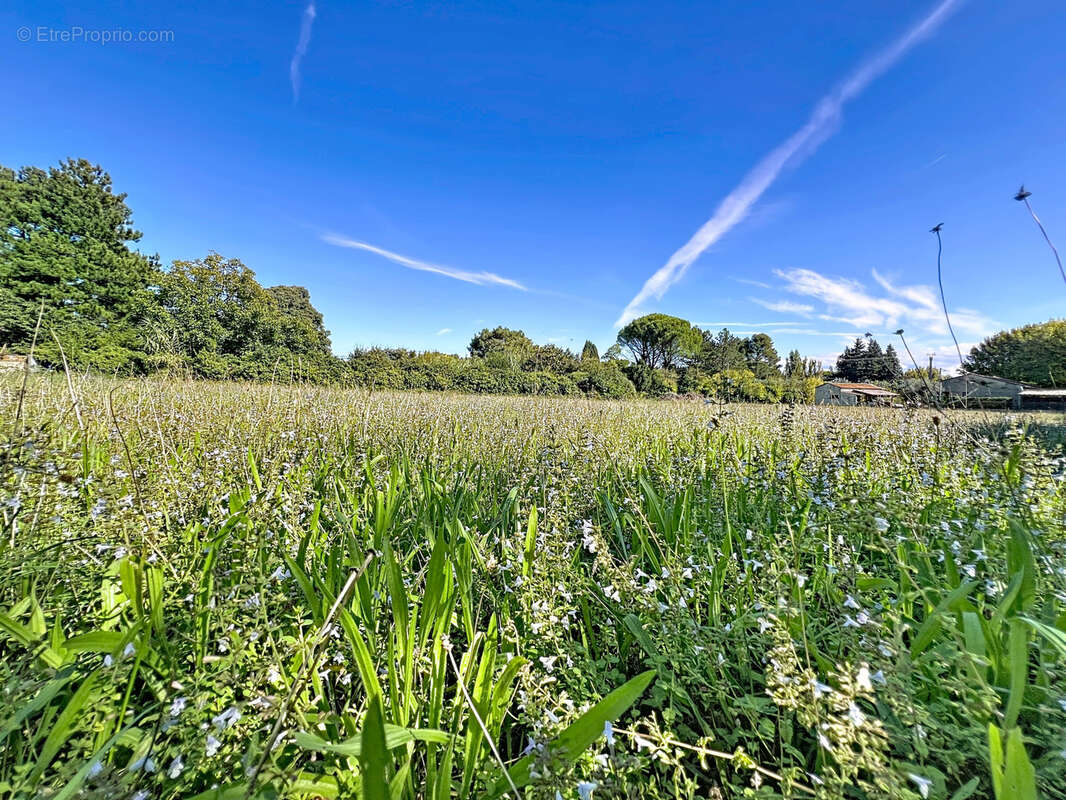Terrain à CHATEAUNEUF-DE-GADAGNE