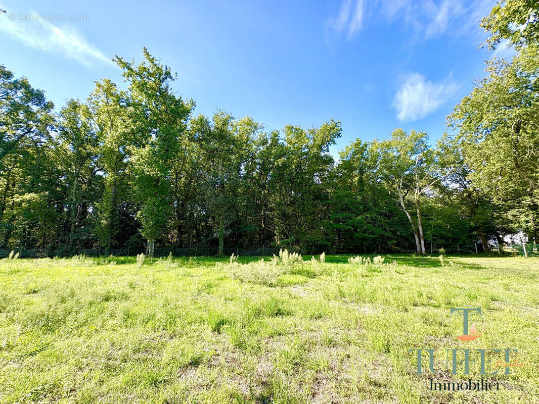 Terrain à LA TREMBLADE