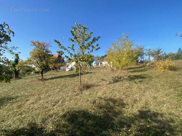 Terrain à DETTWILLER