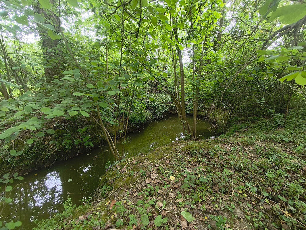 Terrain à MARCILLE-RAOUL
