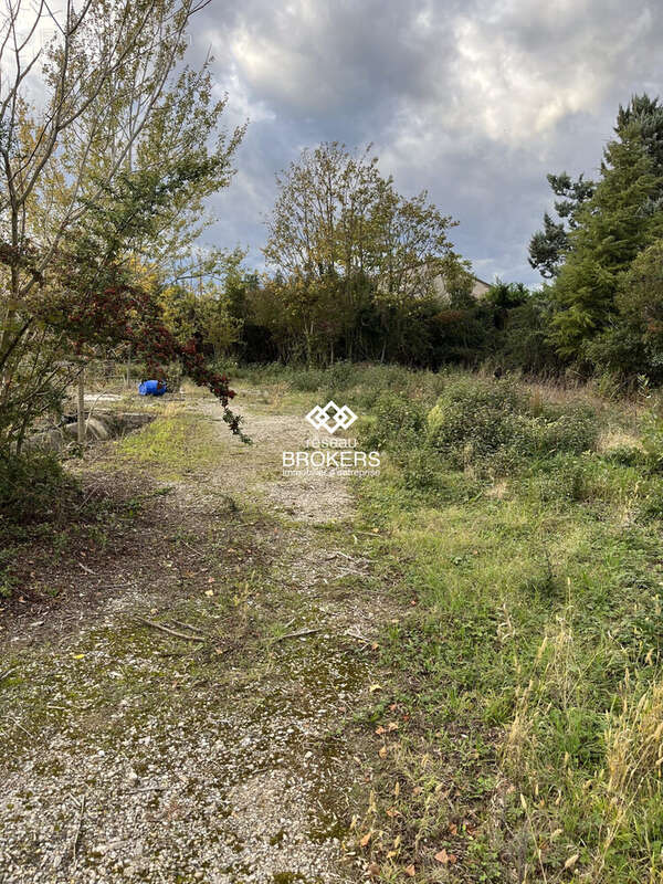 Commerce à LIVRON-SUR-DROME