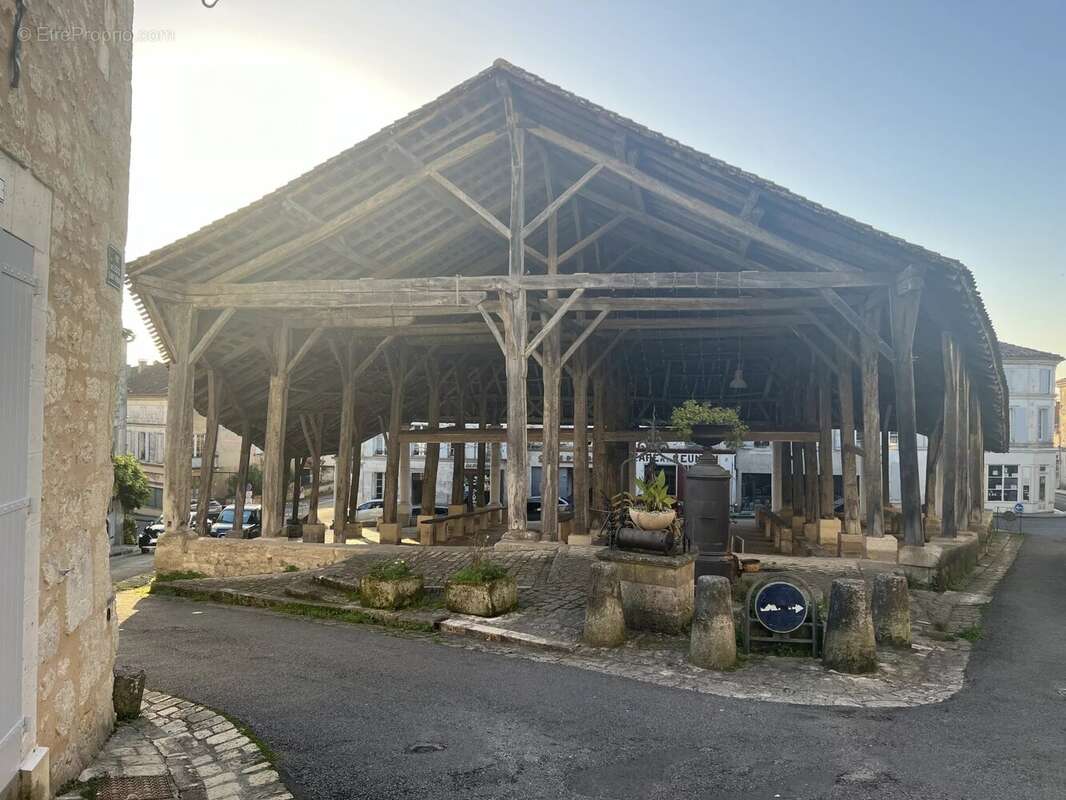 Maison à VILLEBOIS-LAVALETTE