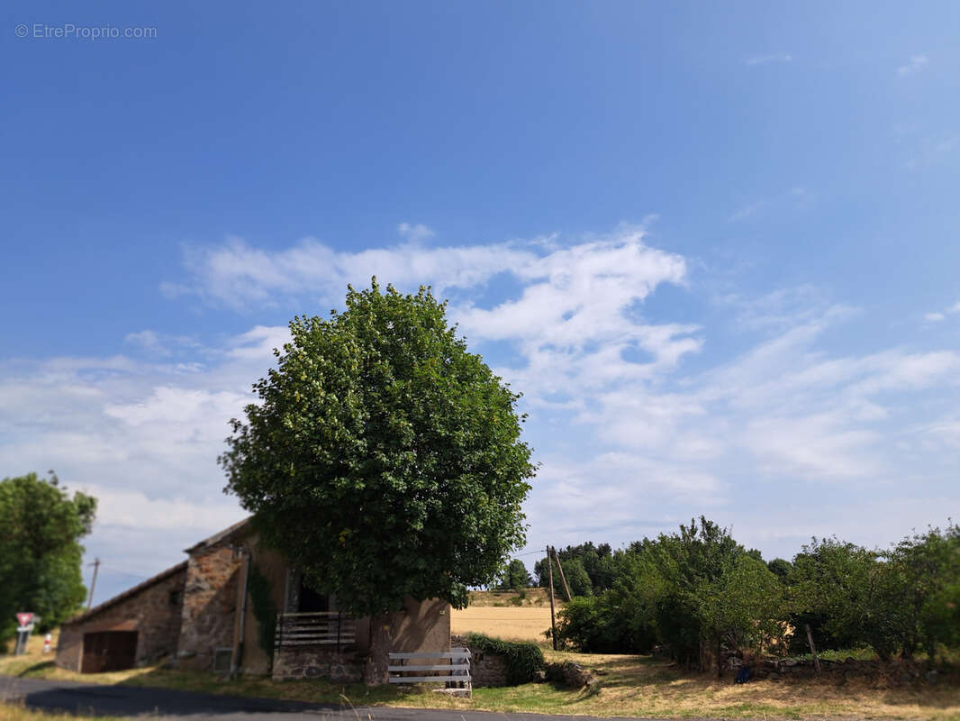 Ancienne ferme commune du Mazet st voy - photo 19